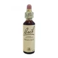 Bach Center Essence Wild Oat 20ml