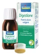 Foeniculum Vulgare Wyciąg hydroalkoholowy 60ml Boiron