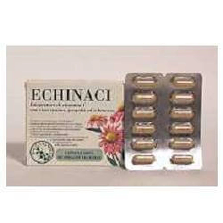 ECHINACEA 36CPS HERBAL