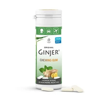 Zitrone Pharma Kaugummi Ginjer und Minze 36 G