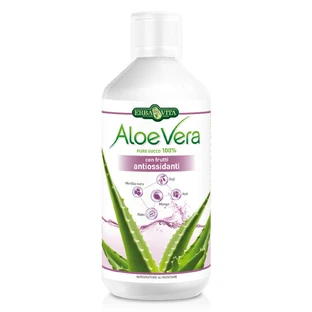 Zumo de Aloe Vera 100% Frutas Antioxidante 1L Erbavita