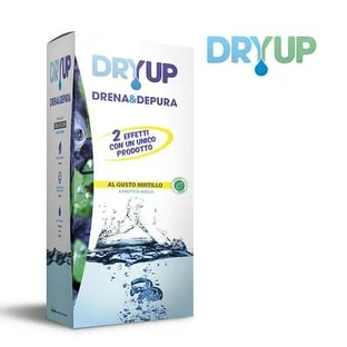 Dryup Blueberry 300 Ml