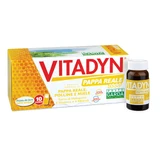 Vitadyn Gelée Royale 1000 10 Fläschchen