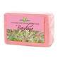 DILETTA N SAP BURDOCK 100G