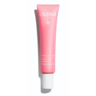 Vshydra Sorbet 40ml