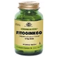 Fitoginkgo 60cps Veg