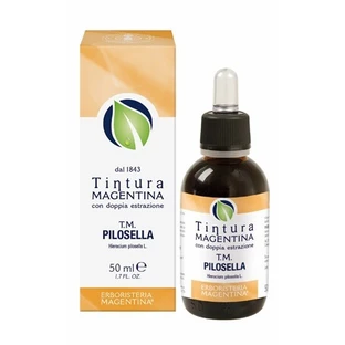 Pilosella Tinktur Magen 50ml