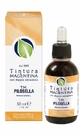 Pilosella Tincture Magen 50ml