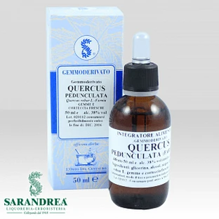 Quercus Pedun 60 Ml Macérat glycérique