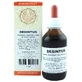 Desintus Druppels 100ml