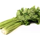 Celery Fruits 100 Gr
