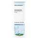 Echinacea Root Hydroalcoholic Solution 50ml Erbavita