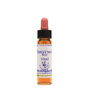 CHESTNUT BUD ESS 10ML INGL HER
