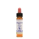CHESTNUT BUD ESS 10ML INGL HER