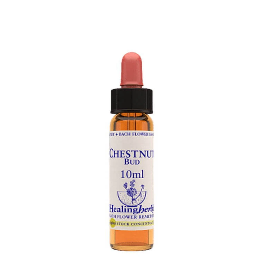 CHESTNUT BUD ESS 10ML INGL HER