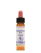 CHESTNUT BUD ESS 10ML INGL HER