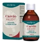 Artischocke Digest 250ml