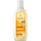 Oat Restructuring Shampoo