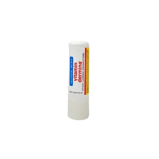 Vitamindermina - Repairing Lip Stick for Dry Skin 4.5 ml