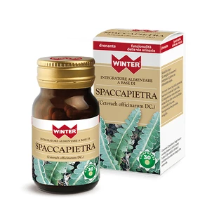 SPACCAPIETRA 30CPR HIVER