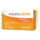 PROPOLISIN CITRUS 12STICK GOUD