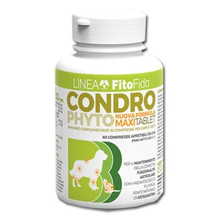 CHONDROPHYTO 60CPR 2G