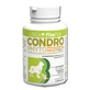 CHONDROPHYTO 60CPR 2G