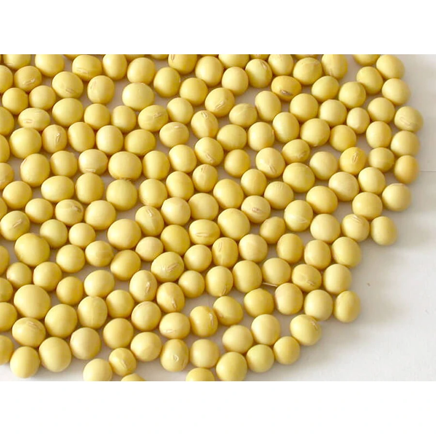 Gele Sojaboon Zaden 100 Gr