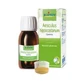 Aesculus Hippocas 100 ml Glycerin Mazerat