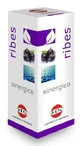 SYNERGISTISCHE JOHANNISBEERE GTT 100ML