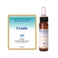 Cerato Gotas de Flores Mediterráneas 10ml