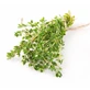 Thymian Vulgaris Blätter 100 Gr