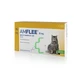 AMFLEE*SPOT ON 3PIP 50MG