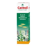 Carmol Massage Gel 80ml