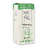 Echinacea Purpurea Sarandrea 100ml