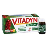 Vitadyn Unterstützung 10 Fläschchen 10ml
