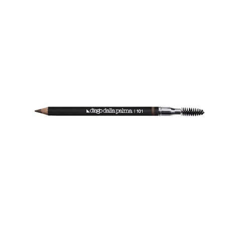 DDP M/CEJA WP 101