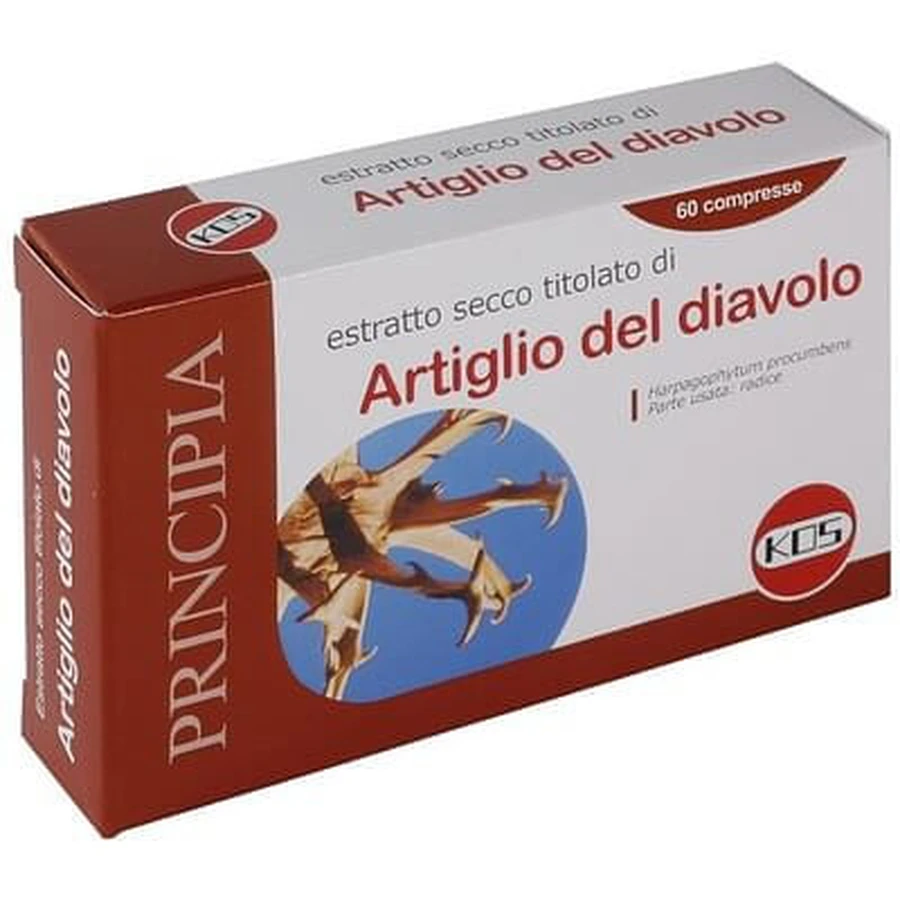 Duivelsklauw droog extract 60 tabletten