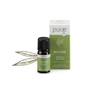 Purae Tea Tree bio - 30 ml etherische olie