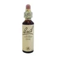 Bach Center Ess Elm 20ml