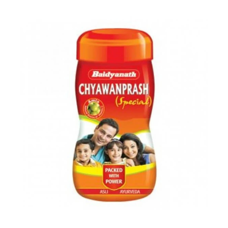 CHYAWANPRASH SPECIAL 500G
