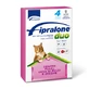 FIPRALONE DUO CAT 4 PIP ROSA