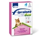 FIPRALONE DUO CAT 4 PIP ROSA