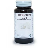Hericium Gut 96 Kapseln