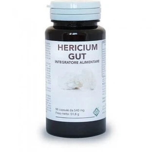 Hericium Gut 96 Kapseln
