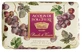 SAVON BIO BAIES VINUM150G