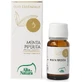 Essentia Pepermunt Oe10ml