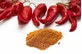 Peper Cayennevruchten Poeder (capsicum) 10