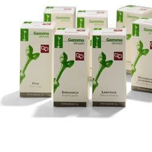 GATTILIER 50ML MG