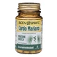 BODY SPRING Thistle Mar.50 Cpr